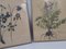 Alte botanische Illustrationen, Radierungen, gerahmt, 2er Set 7