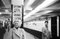 Ed Feingersh/Michael Ochs Archives, Marilyn in Grand Central Station, 1955, Black & White Photograph 1