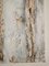 Shelly Cook, Throwing the Bones, 2021, Técnica mixta, Imagen 4