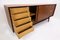 Mid-Century Modern Sideboard by Vittorio Dassi, Italy, 1950s 6