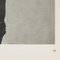 Karl Blossfeldt, Heliogravure bianco e nero, 1942, Immagine 7