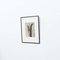 Karl Blossfeldt, Flower, 1942, Black & White Heliogravure, Framed 4