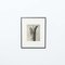 Karl Blossfeldt, Flower, 1942, Black & White Heliogravure, Framed 2