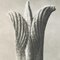 Karl Blossfeldt, Flower, 1942, Héliogravure Noire et Blanche, Encadrée 5