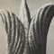 Karl Blossfeldt, Flower, 1942, Black & White Heliogravure, Framed, Image 10