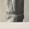 Karl Blossfeldt, Flower, 1942, Black & White Heliogravure, Framed, Image 8