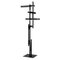 Las Floor Lamp by Mist-O for Oluce, Image 1