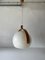 Space Age Plastic and Bent Wood Pendant Lamp from Temde, Switzerland, 1970s, Image 1