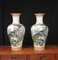 Chinese Doucai Porcelain Vases with Pheasant Paintings, Set of 2 1