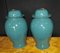 Chinese Kangxi Porcelain Ginger Urns, Set of 2, Image 5