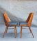 Chaises de Salle à Manger Ton514 Vintage par Oswald Haerdtl & Lubomir Hofman pour Ton, 1960s, Set de 6 6