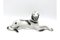 Porcelain Figurine Greyhound Russian Borzoj from Bogucice, 1960s 1