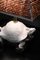 Lampada da tavolo a forma di tartaruga in ceramica di Zaccagnini, anni '70, Immagine 3