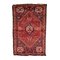 Middle Eastern Shiraz Rug 1