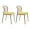 Ocre Beech Wood Vienna Chair by Colé Italia, Set of 2 2