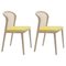 Ocre Beech Wood Vienna Chair by Colé Italia, Set of 2 1