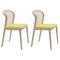 Ocre Beech Wood Vienna Chair by Colé Italia, Set of 2, Image 1