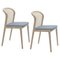 Beech Wood Velvet Frothy Glicine Vienna Chair by Colé Italia, Set of 2 1