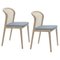 Chaises Frothy Glicine Vienna en Hêtre et Velours par Colé Italia, Set de 2 1