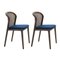 Blue Canaletto Vienna Chairs by Colé Italia, Set of 4 3