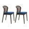 Blue Canaletto Vienna Chairs by Colé Italia, Set of 4, Image 3