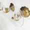 Small Italian Wall Lamps in Glass & Brass, Set of 2 4