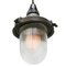 Industrial Striped Clear Glass Brown Purple Pendant Lights 3