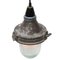 Industrial Striped Clear Glass Brown Purple Pendant Lights 4