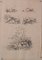 Studies of Nature, 20th-Century, Pencil on Paper, Set of 11 5