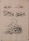 Studies of Nature, 20th-Century, Pencil on Paper, Set of 11, Image 5