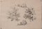 Studies of Nature, 20th-Century, Pencil on Paper, Set of 11, Image 14