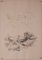 Studies of Nature, 20th-Century, Pencil on Paper, Set of 11 3