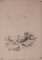 Studies of Nature, 20th-Century, Pencil on Paper, Set of 11, Image 3