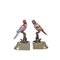 Bronze Ceramic Reggilibri Parrots from Royal Family, Set of 2 1