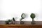Green Jeep Wall Lights by Leonardi and Stagi, Set of 3 4