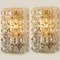 Clear Bubble Glass Wall Sconces in Style of Helena Tynell from Limburg, 1970s, Set of 2 2