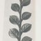 Karl Blossfeldt, Black & White Flower, 1942, Fotograbado, Imagen 11