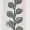 Karl Blossfeldt, Black & White Flower, 1942, Heliogravüre 11