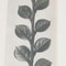 Karl Blossfeldt, Fiore bianco e nero, 1942, Immagine 11