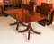 Vintage Twin Pillar Dining Table & 10 Dining Chairs 20th C, Set of 11, Image 6