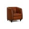 Brown Leather Armchair from de Sede 1