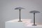 Industrial Senior Desk Lights by Louis Kalff for Philips, 1950, Set of 2, Image 7