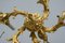 Lampadario antico dorato in stile rococò, Germania, Immagine 5