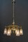 Art Deco Glass Shasdes Chandelier, Vienna, 1920s, Image 5