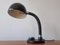 Lampe de Bureau Mid-Century par Egon Hillebrand, Allemagne, 1960s 3