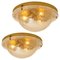 German Glass and Brass Wall Sconce or Flush Mount from Cosack Lights, 1970s 1