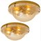 German Glass and Brass Wall Sconce or Flush Mount from Cosack Lights, 1970s 2