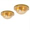 German Glass and Brass Wall Sconce or Flush Mount from Cosack Lights, 1970s 6