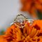Small Modern Ring in 18 Karat Yellow White Arabesque with Diamonds, Image 4