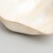 Nacre Bowls, 1950s, Set of 2, Image 13